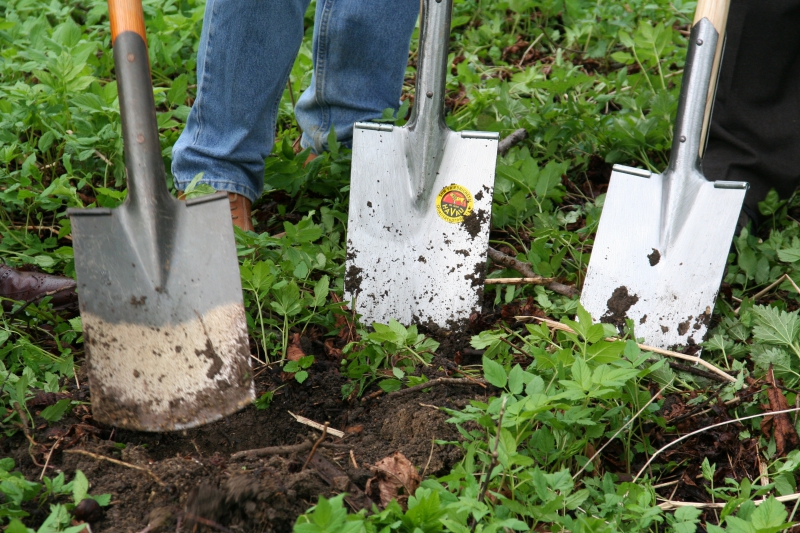 pepiniere-TOURRETTE LEVENS-min_work-lawn-flower-tool-green-backyard-1103633-pxhere.com